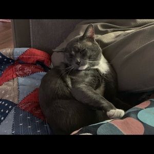 Meet your Posher, Diana